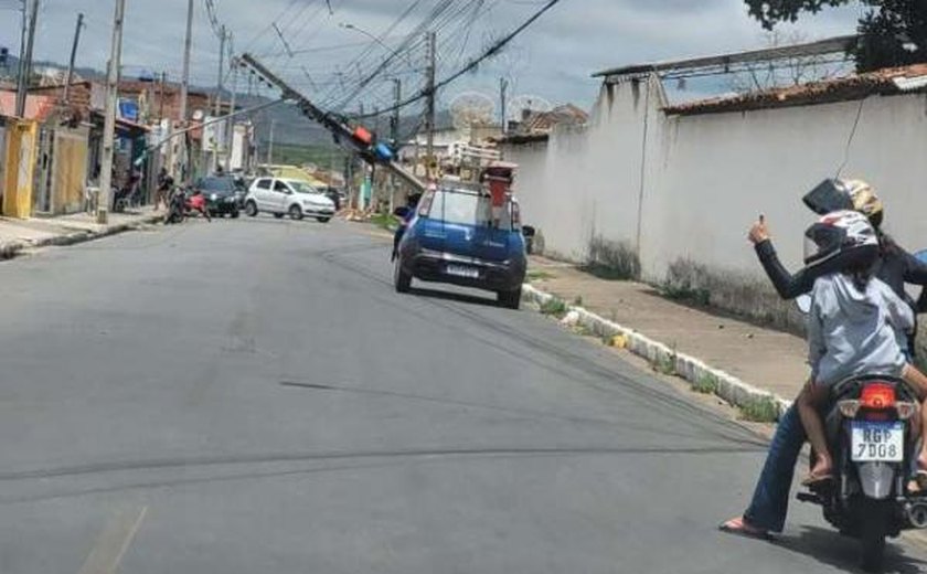 Ventania derruba árvores, poste e causa prejuízos em Palmeira dos Índios