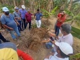 Secretaria de Agricultura de Branquinha trabalha no fortalecimento do cultivo e produção da banana