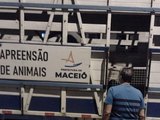 Ação da prefeitura de Maceió resgata animais em situação de maus-tratos