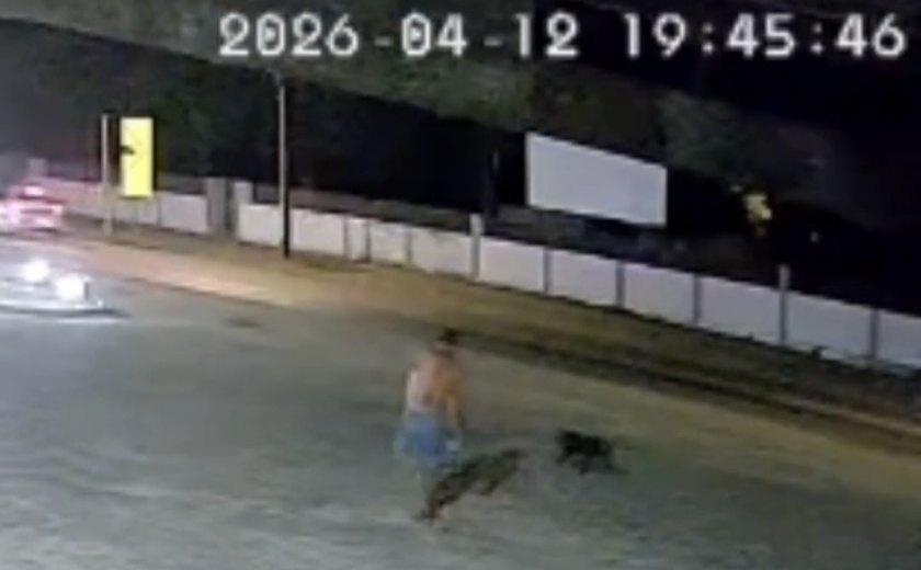 Homem joga comida com veneno e mata cachorro em posto de combustível em Atalaia