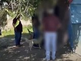 Homem é preso por maus-tratos e zoofilia em Murici, Alagoas