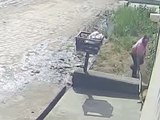 Polícia identifica homem que agrediu cachorro com paulada em Arapiraca