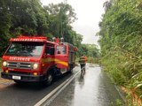 Mulher fica ferida após carro capotar em Messias