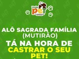 UniãoPET promoverá cadastramento para castração de animais no Sagrada Família nesta quinta (04)