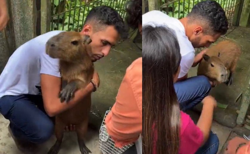 Capivara Filó é devolvida ao influenciador Agenor Tupinambá após decisão judicial