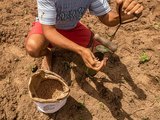 Inscrições para o programa Planta Alagoas são prorrogadas até o dia 2 de março