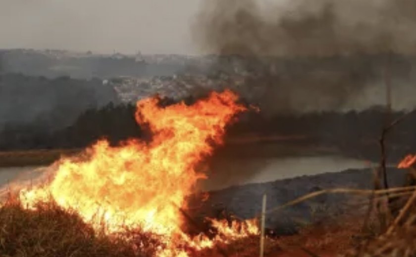 Mais de 80% dos focos de calor em SP estão em áreas de agropecuária