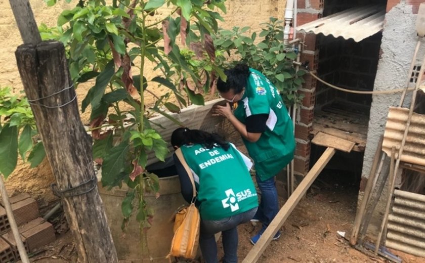 Secretaria de Saúde de Palmeira dos Índios realiza mutirão contra a dengue no bairro Palmeira de Fora