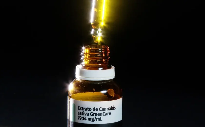 Anvisa aprova cultivo de cannabis por empresas e amplia acesso