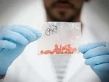 Governo Federal identifica três novas drogas em circulação no Brasil