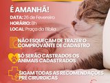 União Pet leva mutirão de castração ao bairro Rocha Cavalcante nesta quarta-feira em União dos Palmares