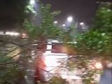 Árvore cai sobre carro de condutor de São José da Laje em Maceió