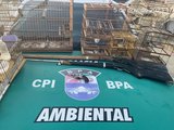Polícia Militar apreende espingardas, revólveres e aves em gaiolas em União dos Palmares
