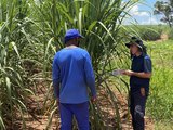 Trabalhadores em situação análoga à escravidão são resgatados em usina