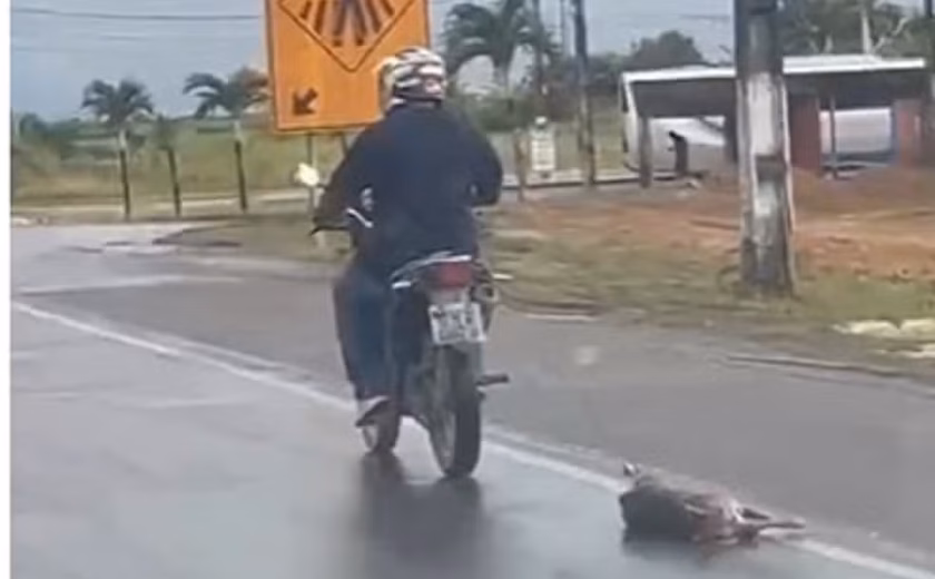 Motociclista que arrastou cachorro amarrado à moto em Rio Largo é identificado