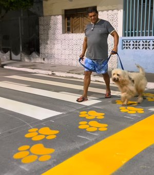 União dos Palmares é pioneira em Alagoas ao implementar faixa de trânsito em cuidado aos animais