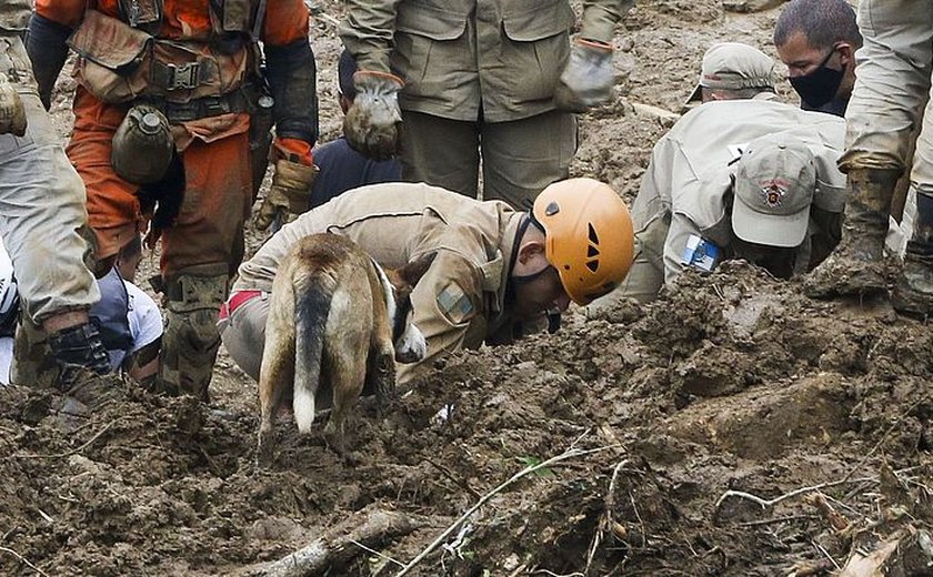 Bombeiros e cães farejadores de Alagoas vão reforçar resgate de vítimas em Petrópolis