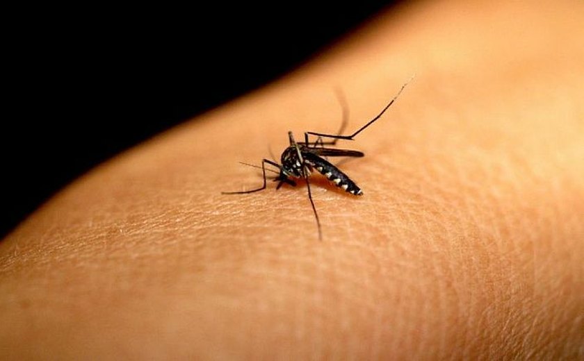 Mulher de Porto de Pedras é mais uma vítima da dengue em Alagoas