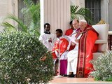 Papa celebra Missa do Domingo de Ramos