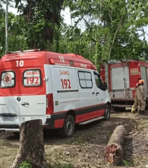 Avião com 12 pessoas cai e explode no Acre; vítimas morreram carbonizadas