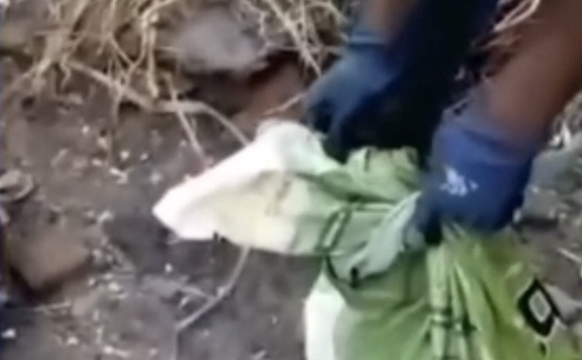 Garis salvam cachorro abandonado dentro de saco de lixo em Maceió