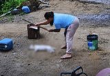Mulher que matou cão a golpes de picareta e mantinha 35 animais em cárcere privado é solta pela Justiça