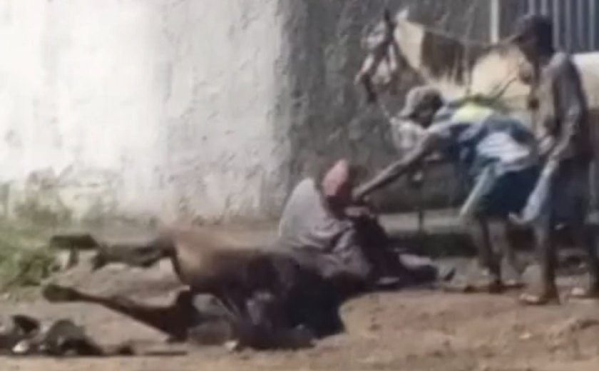 Vídeo mostra homem matando cavalo em Rio Largo; suspeito está foragido