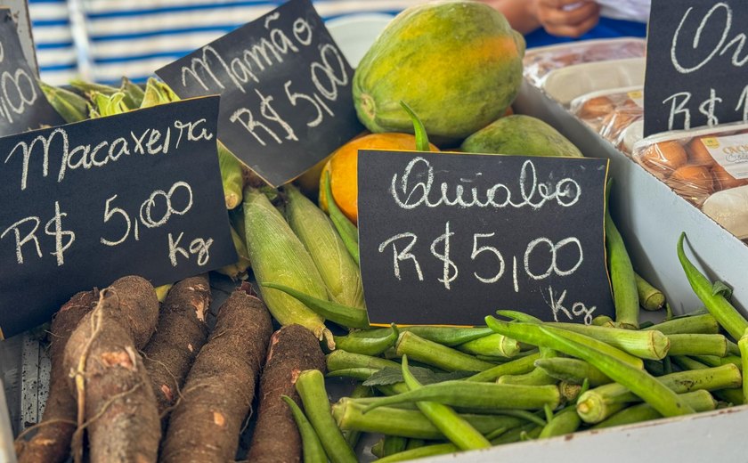 Feira da Agricultura Familiar em Murici terá participação de produtores de oito municípios
