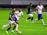 Em clima de final, CSA faz confronto decisivo com o Guarani, na briga contra o Z4