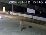 Homem joga comida com veneno e mata cachorro em posto de combustível em Atalaia