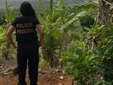 PF realiza Operação Kimbundu em União dos Palmares contra ocupação irregular na Serra da Barriga