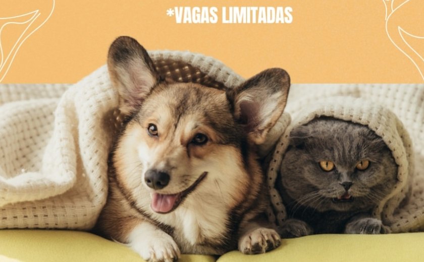 União Pet abre cadastro para castração gratuita de cães e gatos no bairro da Vaquejada