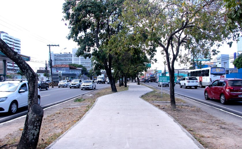 Obras da ciclovia avançam na Avenida Fernandes Lima