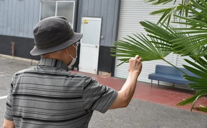 O 'Bolsa Família' do Japão que ampara idosos brasileiros e é criticado por opositores