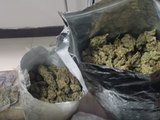 Operação Flor Urbana prende suspeito e apreende drogas em Maceió