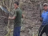 PM afasta policiais envolvidos em morte de jovens em Colônia Leopoldina