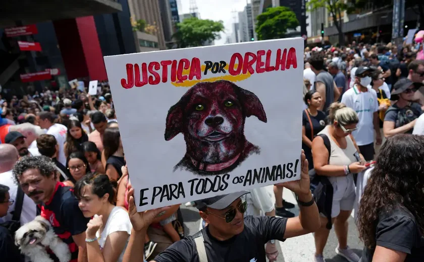 Caso Orelha: polícia pede internação de adolescente envolvido no crime