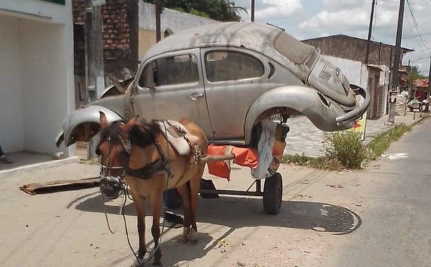 Carroceiro é preso por maus-tratos em Santa Amélia