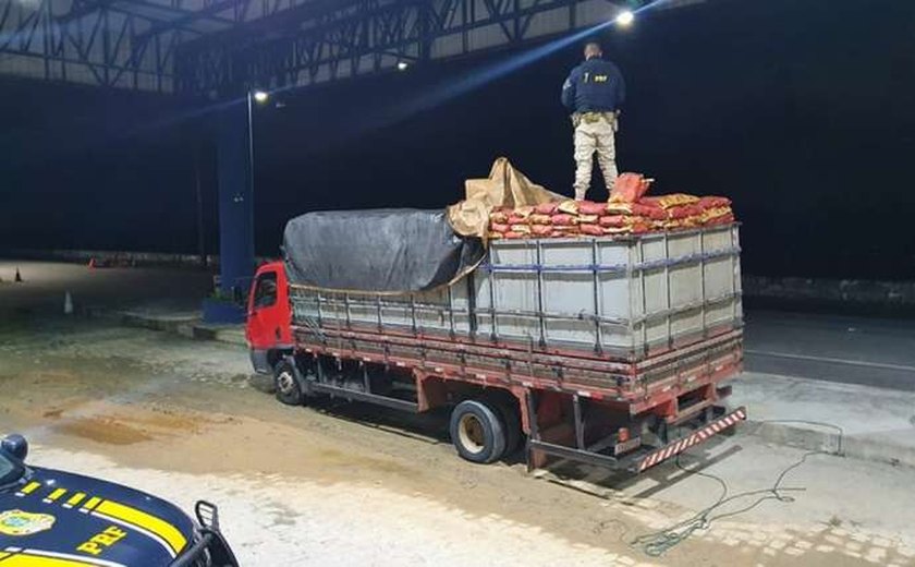 Condutor flagrado transportando carvão vegetal de forma irregular é detido pela PRF