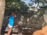 Mulher vai responder por maus-tratos após ser flagrada espancando cachorro com mangueira