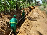 Verde Alagoas completa 100 dias de operação com investimentos no interior de Alagoas