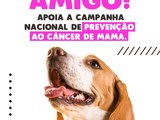 Outubro Rosa Pet Amigo: SMS orienta tutores sobre o câncer de mama em gatas e cadelas