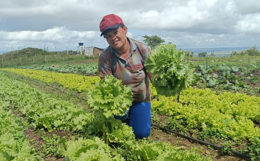 Governo de Alagoas lança programa que beneficiará mais de 7 mil famílias da agricultura familiar nesta segunda-feira