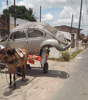 Carroceiro é preso por maus-tratos em Santa Amélia