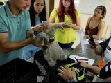 Homens são presos com bicho-preguiça na mochila na saída de parque