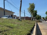 Prefeitura da Branquinha revitaliza canteiros na parte alta da cidade