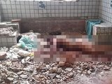 Suspeito de matar mulher em imóvel abandonado em Guaxuma se apresenta à polícia