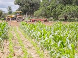 Prefeito Júlio Cezar viaja a Brasília e garante investimentos para a agricultura local